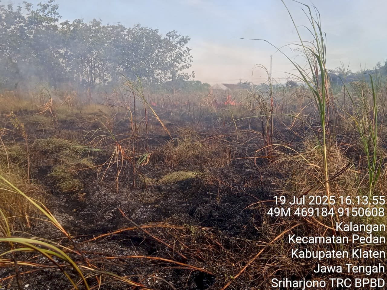 Kebakaran Lahan Tebu Seluas 6000m² di Desa Kalangan, Kecamatan Pedan