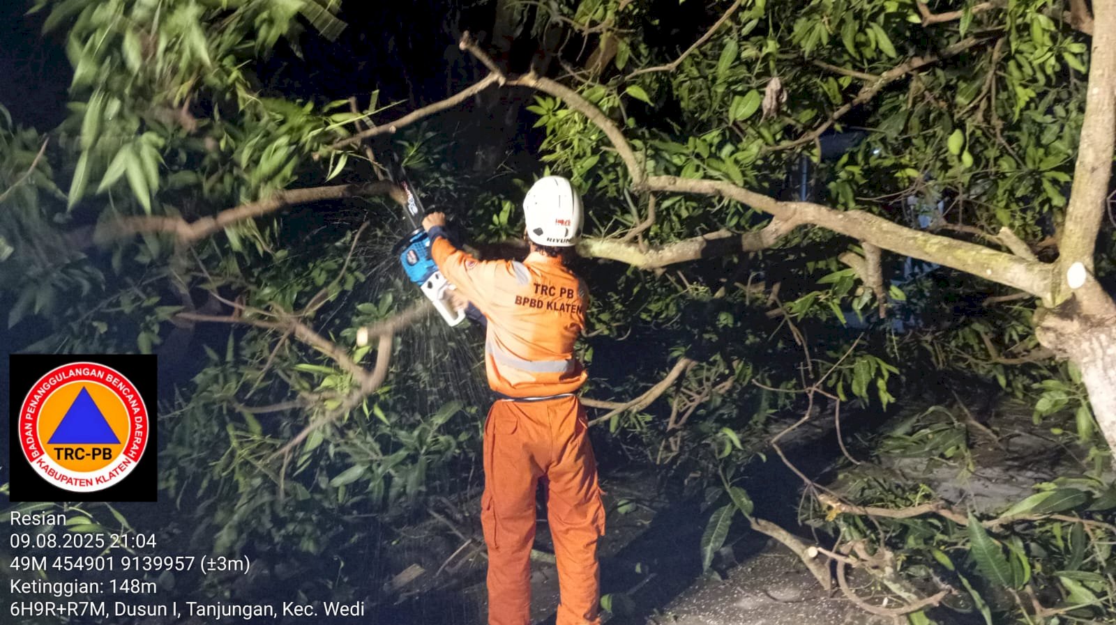 Penanganan Pohon Tumbang Menutup Akses Jalan di desa Tanjungan, kecamatan Wedi Akibat Hujan Deras Disertai Angin Kencang