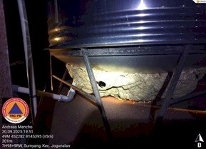Penanganan Tawon Vespa di Desa Sumyang Kecamatan Jogonalan