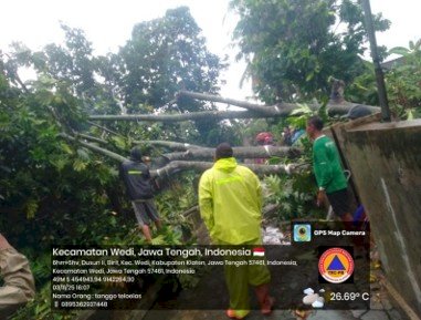 Cuaca Ekstrem Angin Kencang Di Kecamatan Wedi