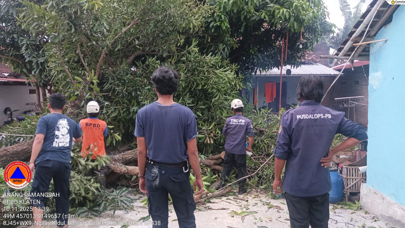 Cepat Tanggap : Penanganan Pohon Tumbang Menutup Akses Jalan di Kelurahan Barenglor, Klaten 