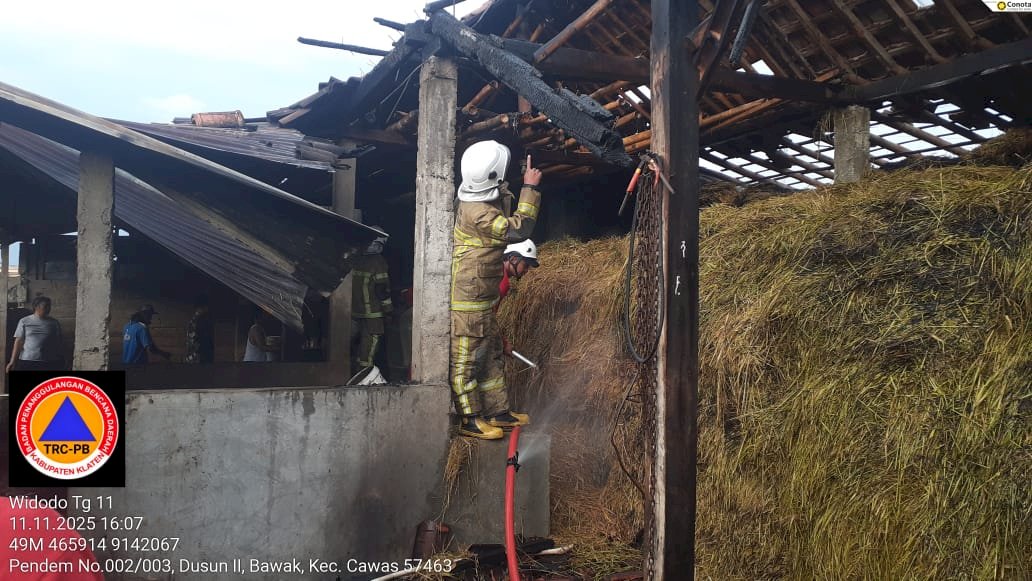 Kebakaran Kandang Sapi di Desa Bawak, Cawas Berhasil Dipadamkan 