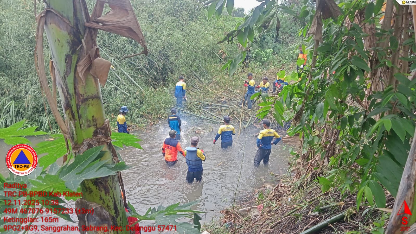 Sigap Bersihkan Rumpun Bambu Roboh di Desa Sabrang, Kecamatan Delanggu
