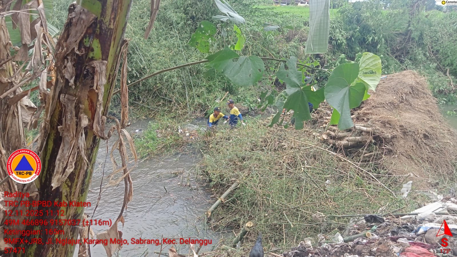 Sigap Bersihkan Rumpun Bambu Roboh di Desa Sabrang, Kecamatan Delanggu