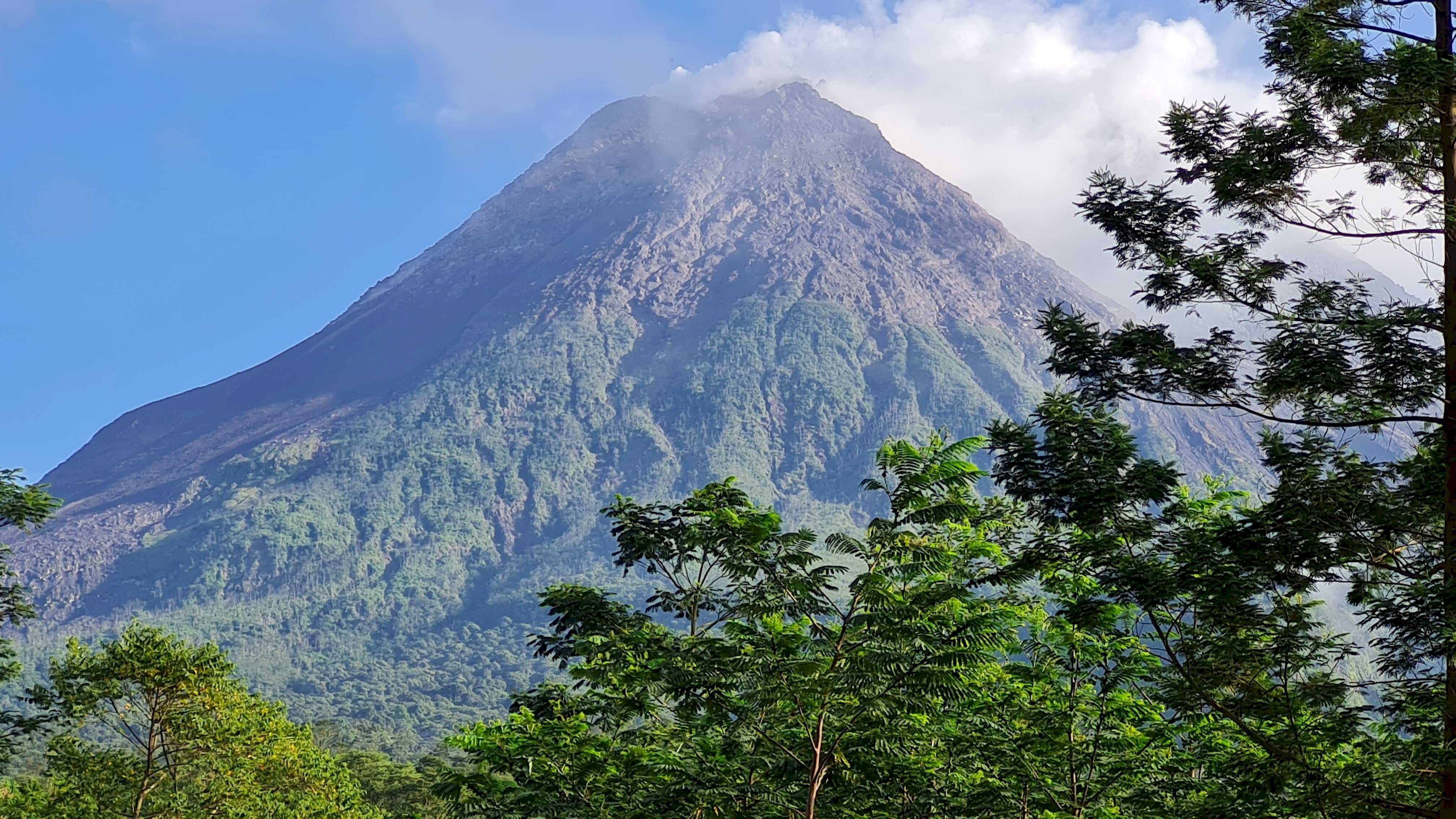 Cari Tau Apa Itu Living in Harmony with Disaster?