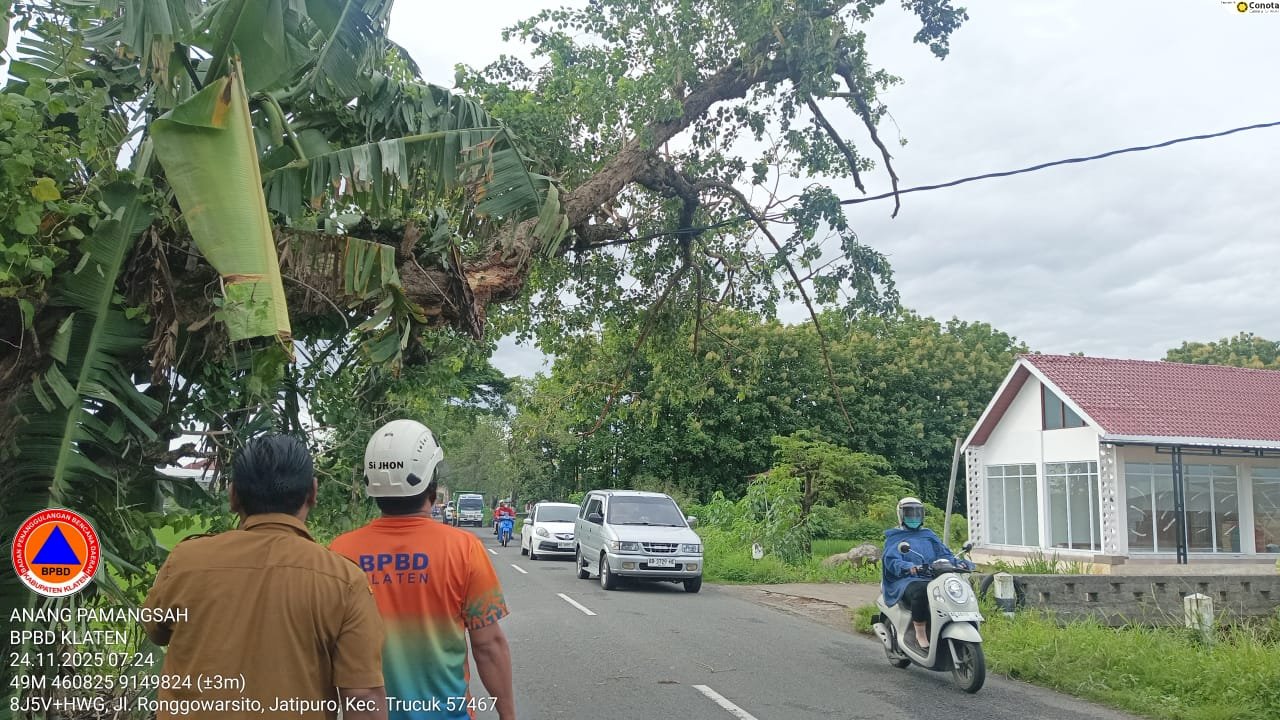 Respon Cepat: Penanganan Pohon Tumbang Menimpa Kabel Listrik di Desa Jatipuro, Kecamatan Trucuk