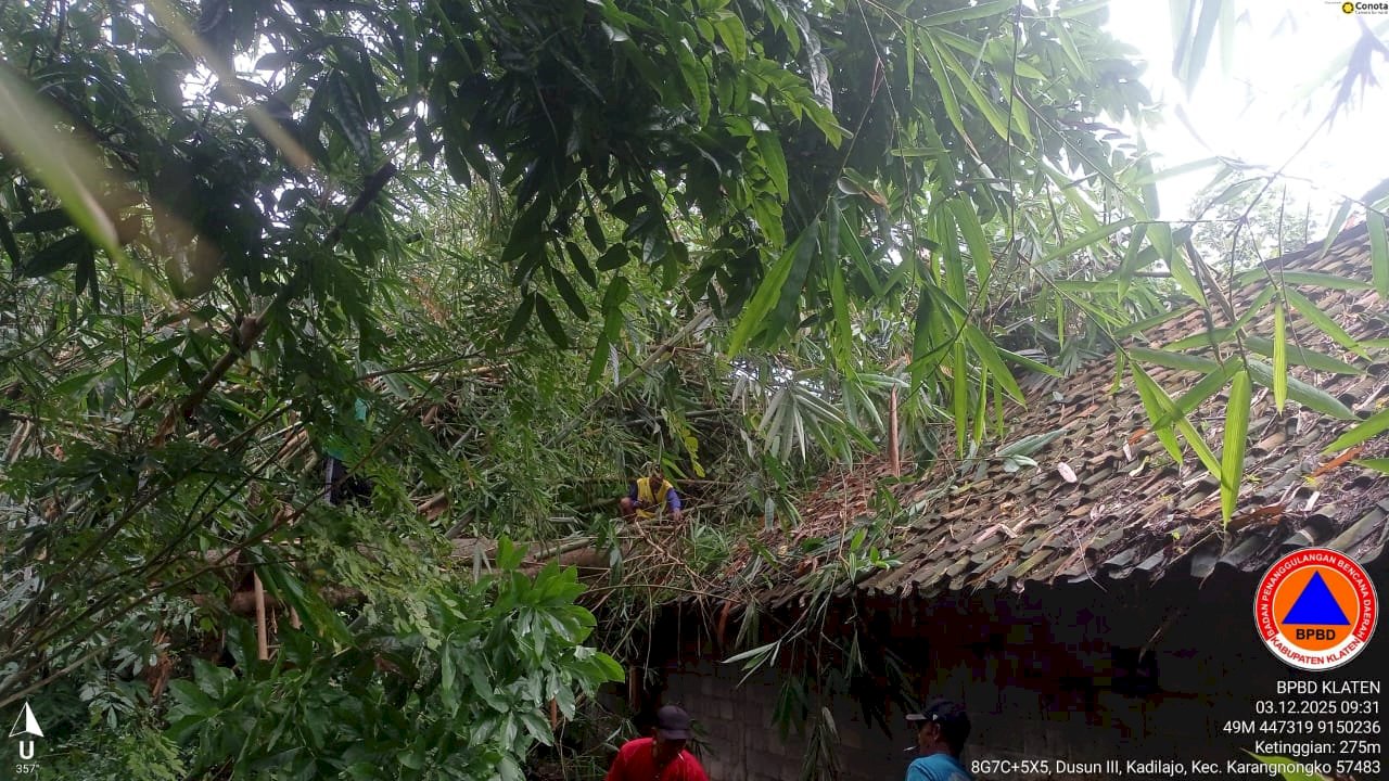 Penanganan Pohon Tumbang Menimpa Rumah Di Desa Jelok, Kecamatan Karangnongko