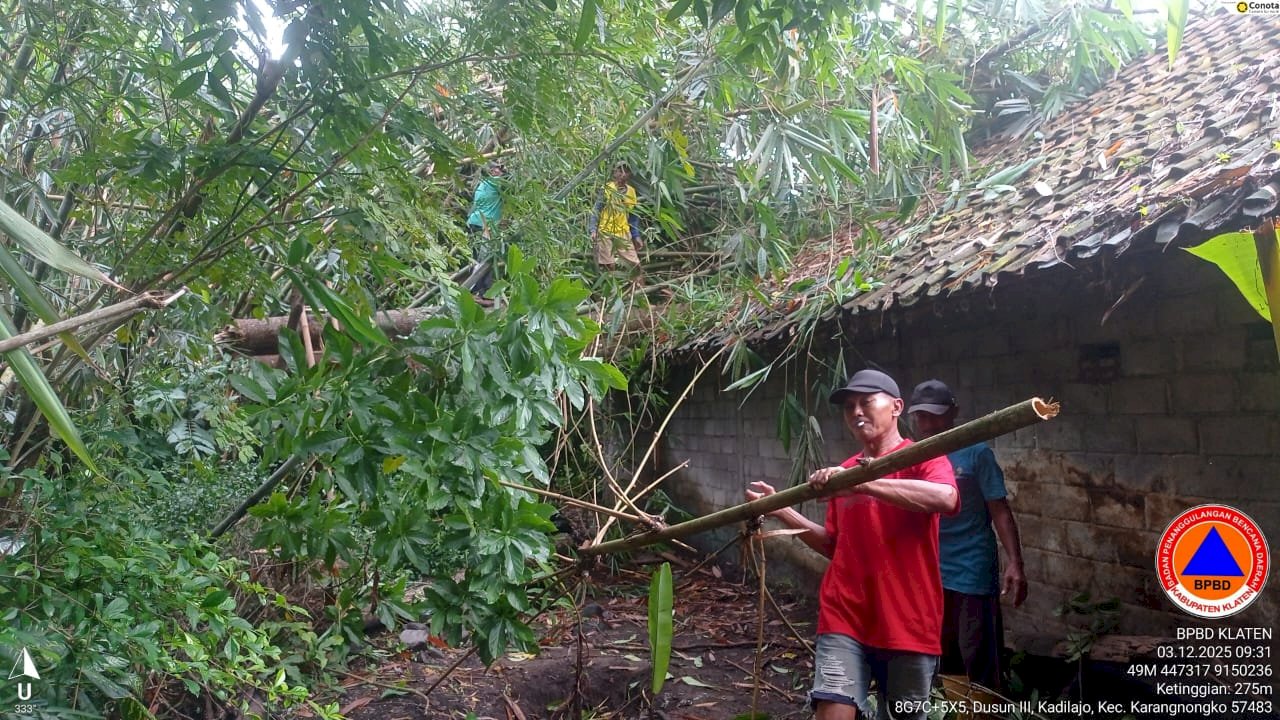 Penanganan Pohon Tumbang Menimpa Rumah Di Desa Jelok, Kecamatan Karangnongko