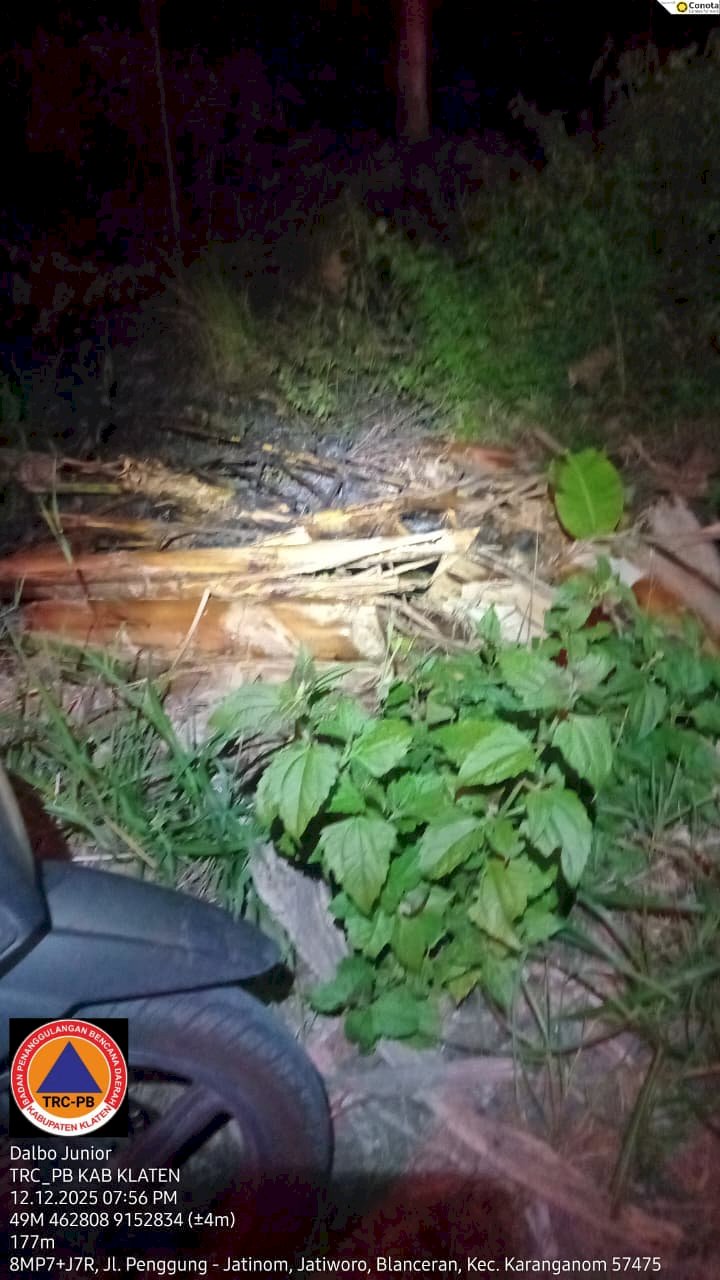 Kebakaran Lahan Di Area sawah Penggung, Kecamatan Ceper, Penyebab Belum Diketahui