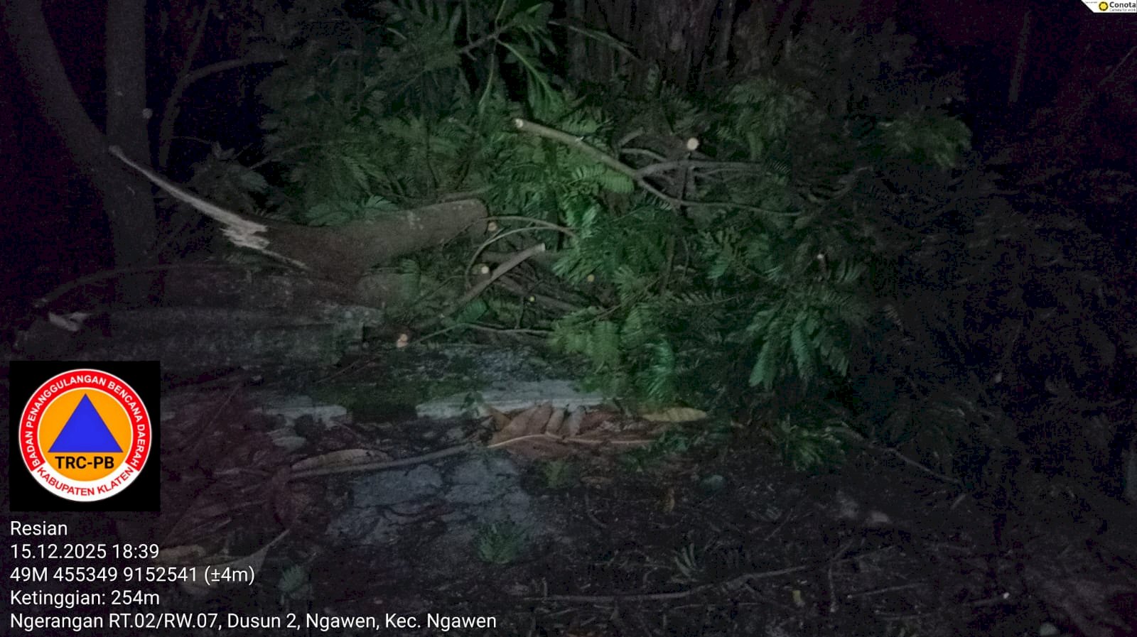 Pohon Tumbang Karena Lapuk Menimpa Teras Rumah Warga di Desa Ngawen, Kecamatan Ngawen