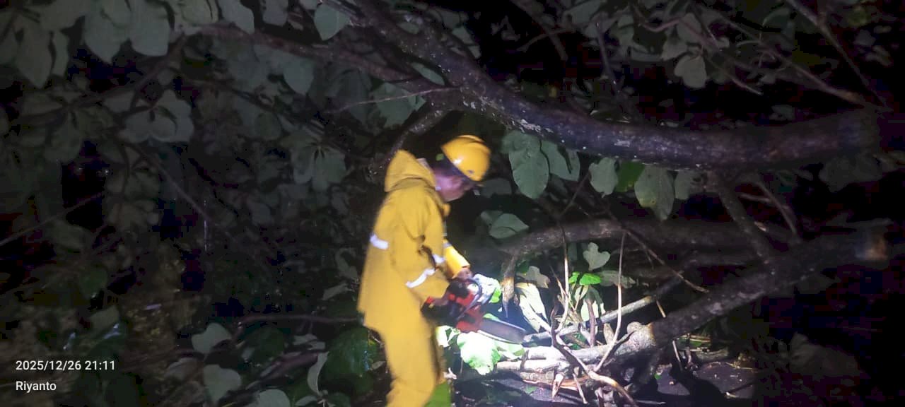 Hujan Deras Disertai Angin Kencang Akibatkan Pohon Tumbang Menutup Akses Jalan Pulon Janti, Kecamatan Tulung