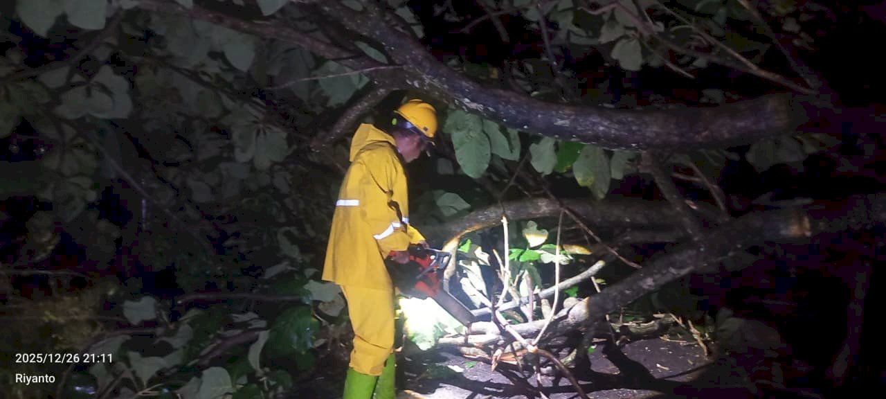 Hujan Deras Disertai Angin Kencang Akibatkan Pohon Tumbang Menutup Akses Jalan Pulon Janti, Kecamatan Tulung