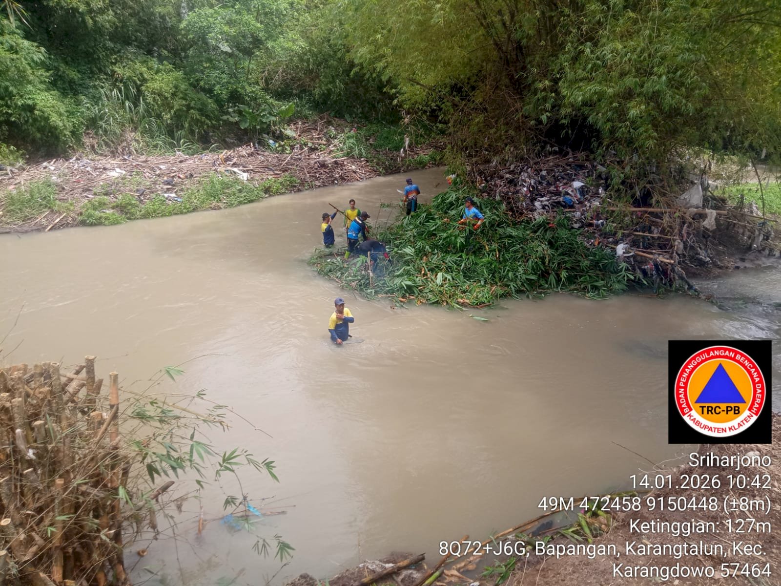 Gotong Royong Pembersihan Rumpun Bambu Roboh di Desa Karangtalun, Kecamatan Karangdowo