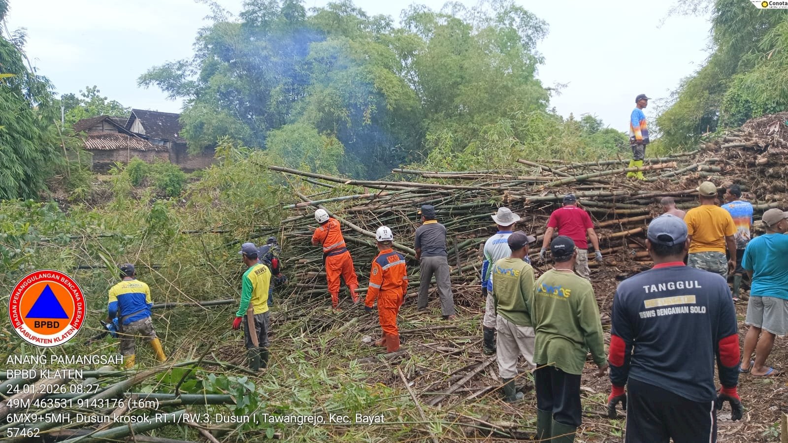 Eksekusi Rumpun Bambu Roboh ke Aliran Sungai Dengkeng Desa Gaden, Kecamatan Trucuk