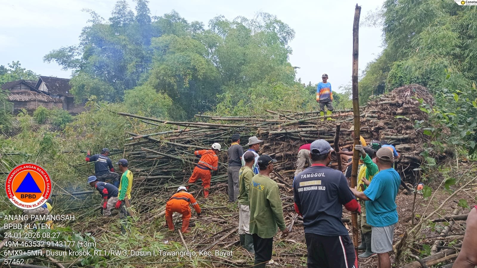 Eksekusi Rumpun Bambu Roboh ke Aliran Sungai Dengkeng Desa Gaden, Kecamatan Trucuk