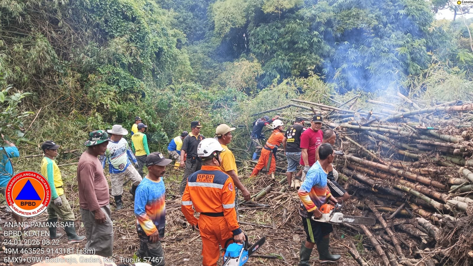 Eksekusi Rumpun Bambu Roboh ke Aliran Sungai Dengkeng Desa Gaden, Kecamatan Trucuk