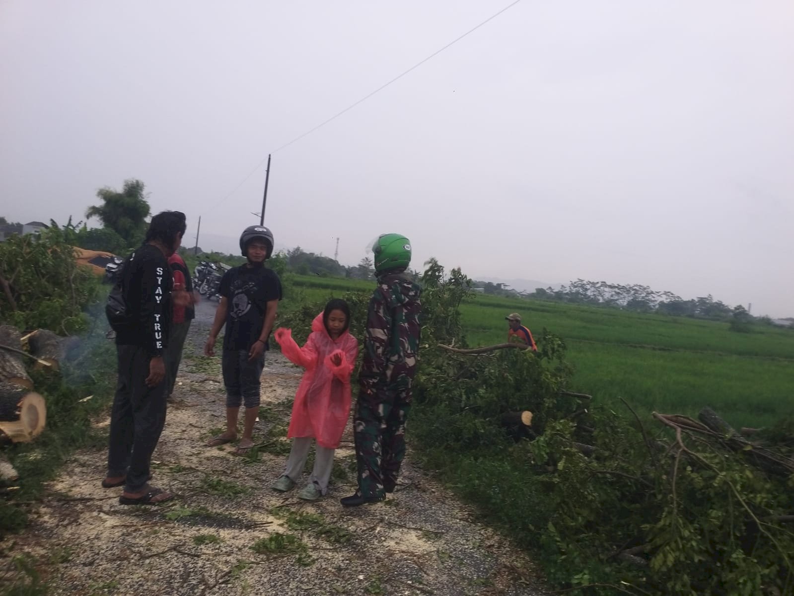 Evakuasi Pohon Tumbang Menutup Akses Jalan di Desa Jetis, Kecamatan Klaten Selatan, Akibat Hujan Deras Disertai Angin Kencang