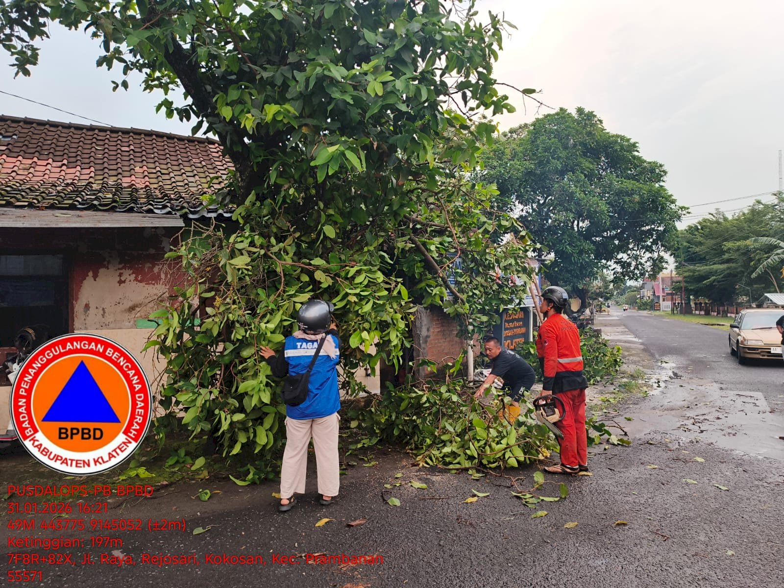 Penanganan Pohon Tumbang Menimpa Rumah di Desa Kokosan, Kecamatan Prambanan