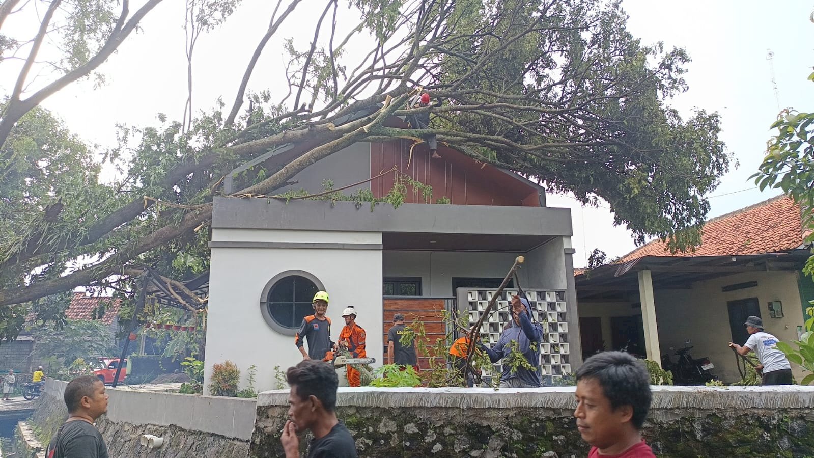 Penanganan Pohon Tumbang Menimpa Rumah dan Menutup Akses Jalan di Desa Tijayan, Kecamatan Manisrenggo