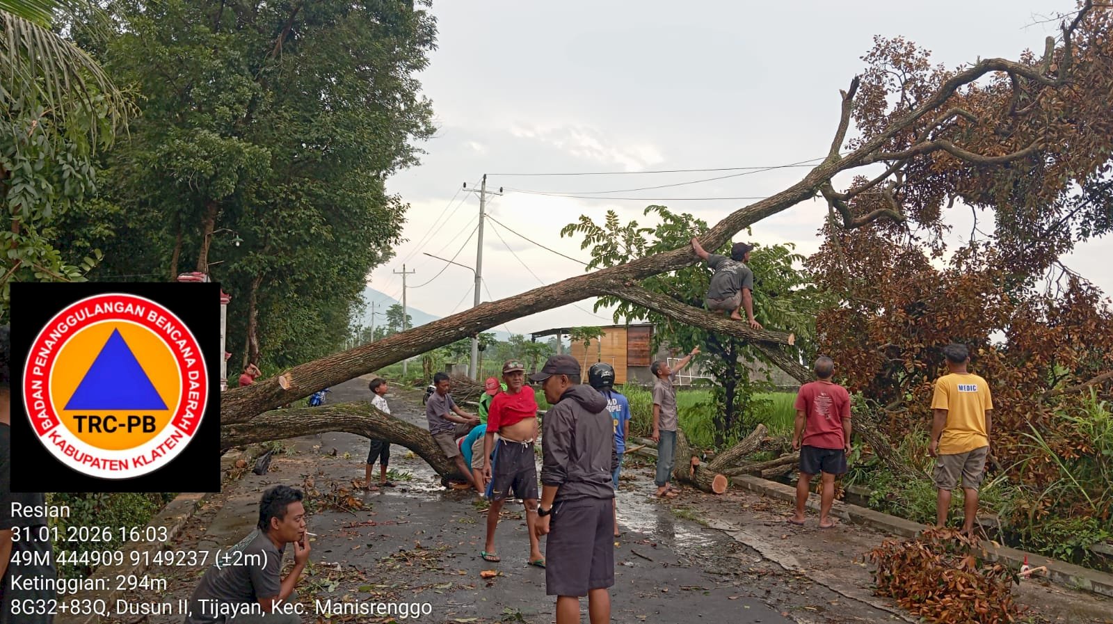 Penanganan Pohon Tumbang Menimpa Rumah dan Menutup Akses Jalan di Desa Tijayan, Kecamatan Manisrenggo