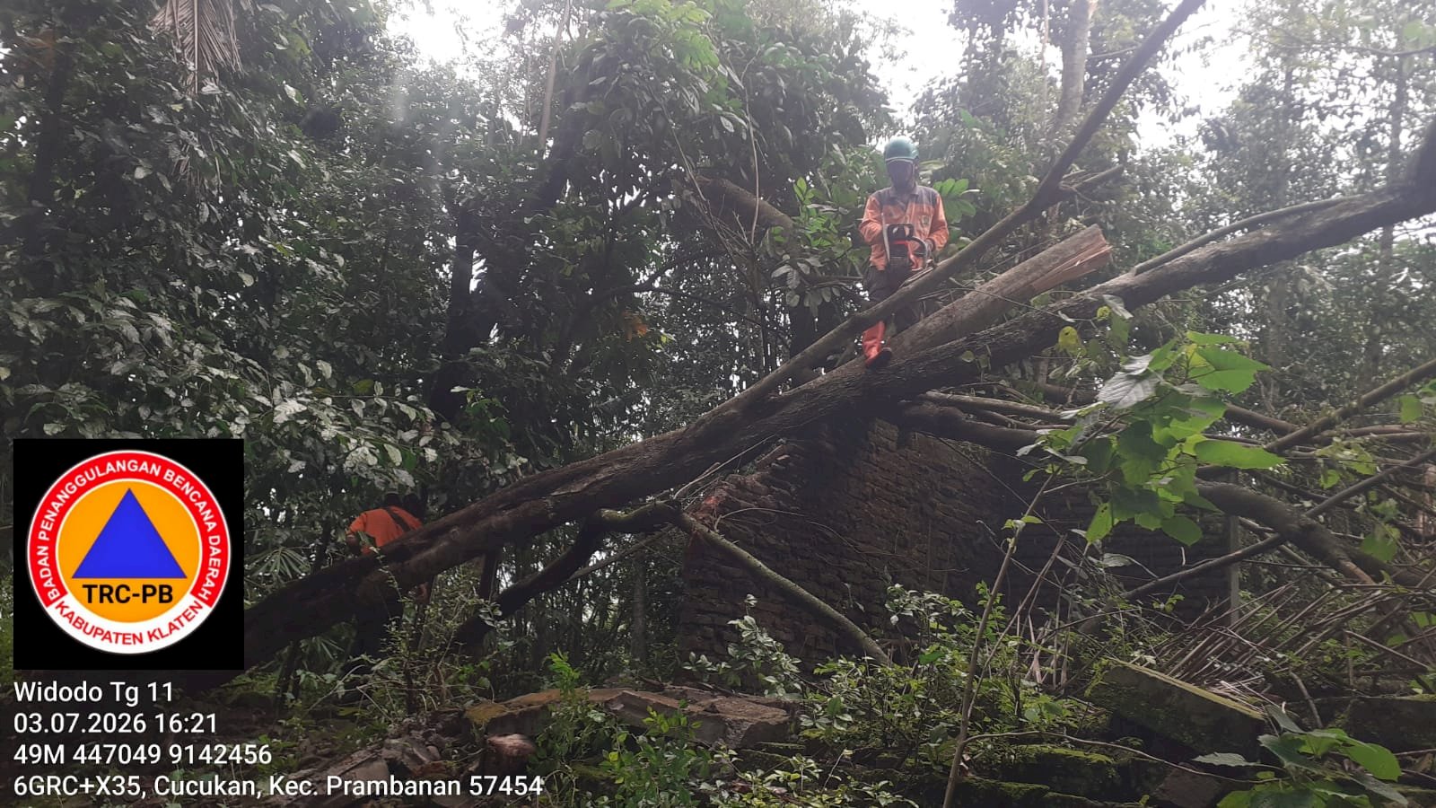Eksekuasi Pohon Tumbang Menimpa Atap Rumah di Desa Cucukan, Prambanan