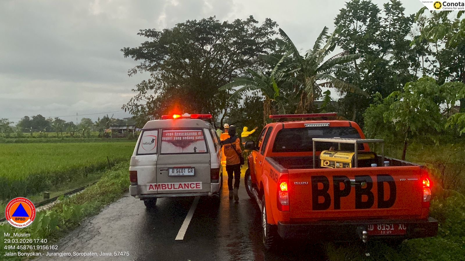 Penanganan Pohon Tumbang Dampak Angin Kencang di Kecamatan Karanganom