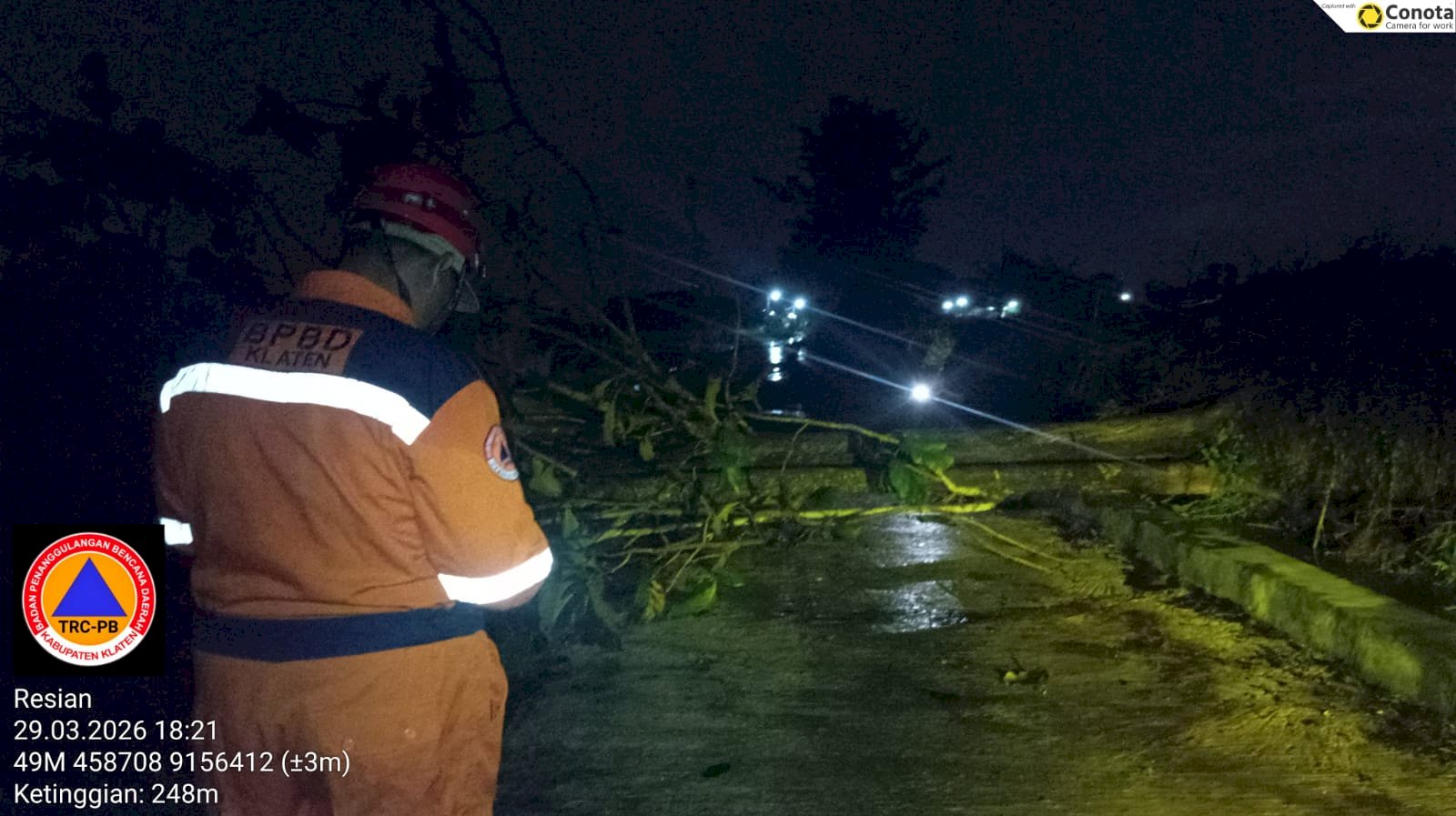 Penanganan Pohon Tumbang Dampak Angin Kencang di Kecamatan Karanganom