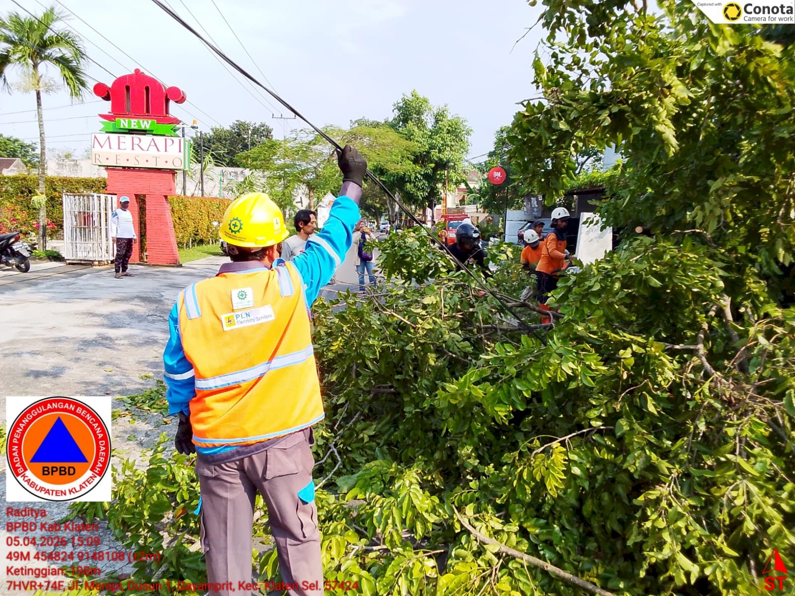 Eksekusi Pohon Tumbang Menutup Akses Jalan di Depan Merapi Resto Klaten 