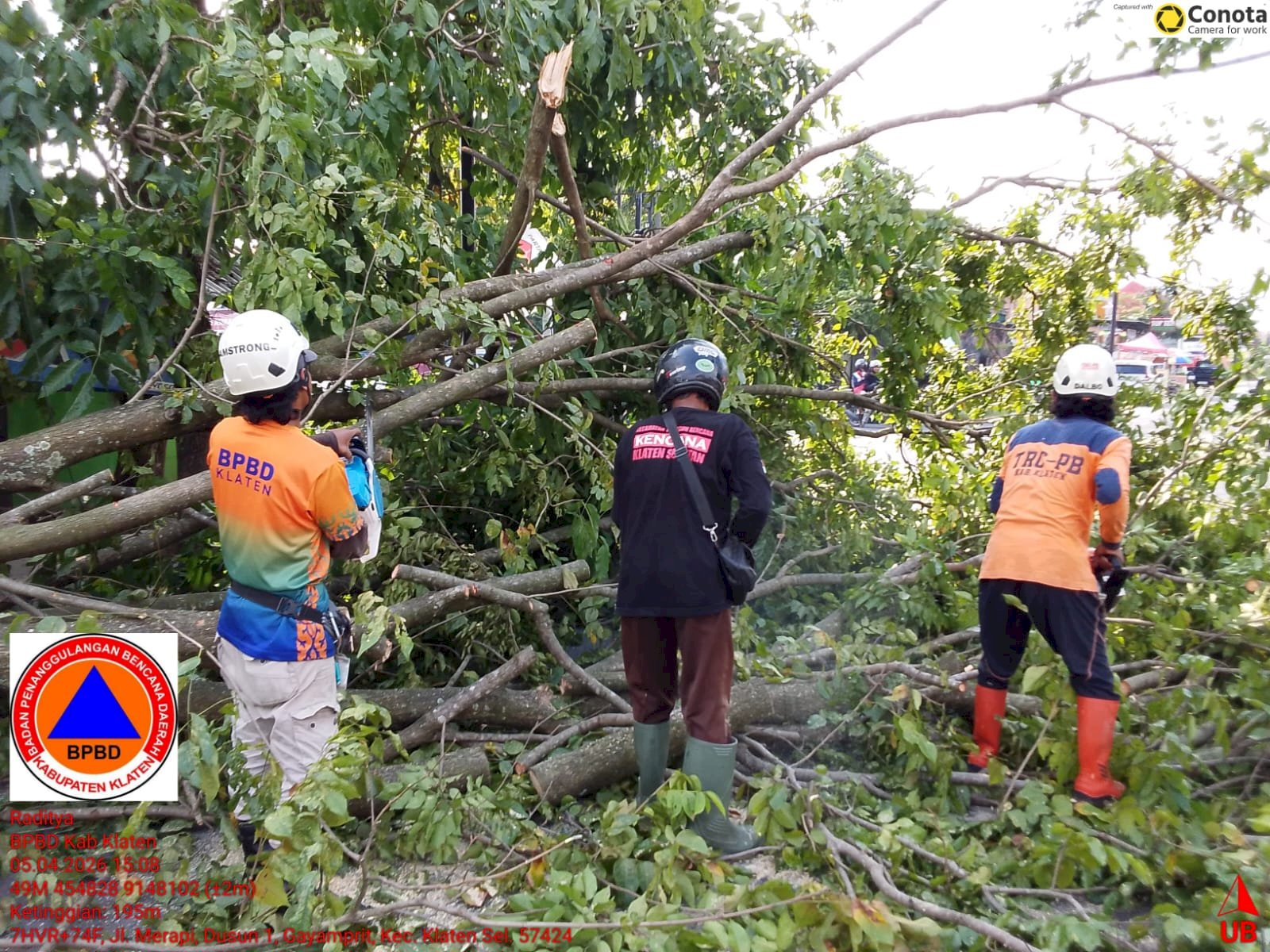 Eksekusi Pohon Tumbang Menutup Akses Jalan di Depan Merapi Resto Klaten 