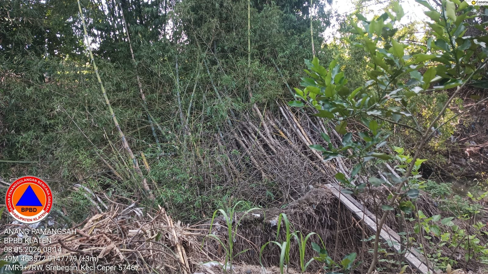 Gotong Royong Pembersihan Rumpun Bambu di Kali Cino, Desa Mireng, Kecamatan Trucuk