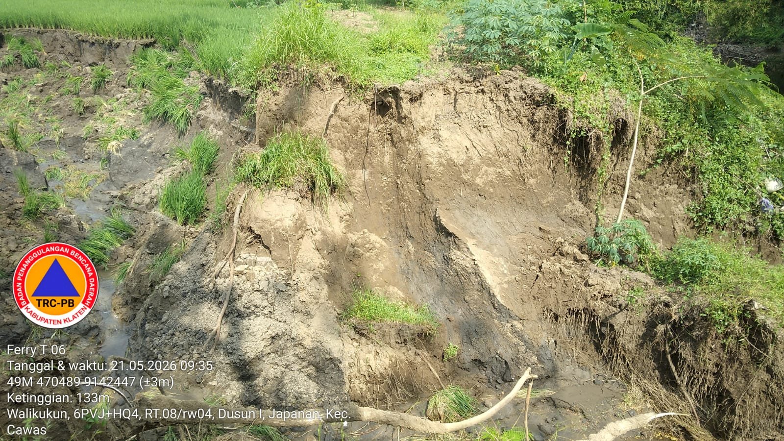 Assessment Tanggul dan Sawah Longsor di Desa Balak, Kecamatan Cawas