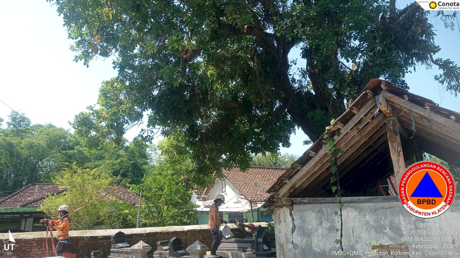 Pengurangan Risiko Bencana (PRB) Pohon Rawan Roboh di Desa Kuncen, Kecamatan Ceper