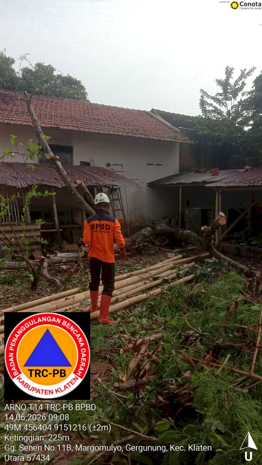 Penanganan Pohon Tumbang Menimpa Kandang Unggas di Kelurahan Gergunung, Kecamatan Klaten Utara