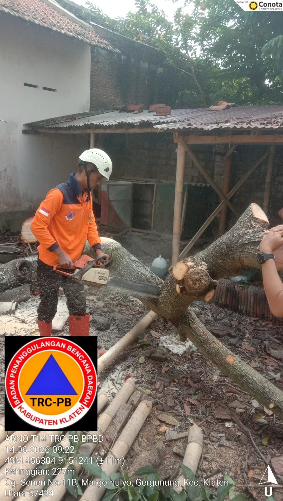Penanganan Pohon Tumbang Menimpa Kandang Unggas di Kelurahan Gergunung, Kecamatan Klaten Utara