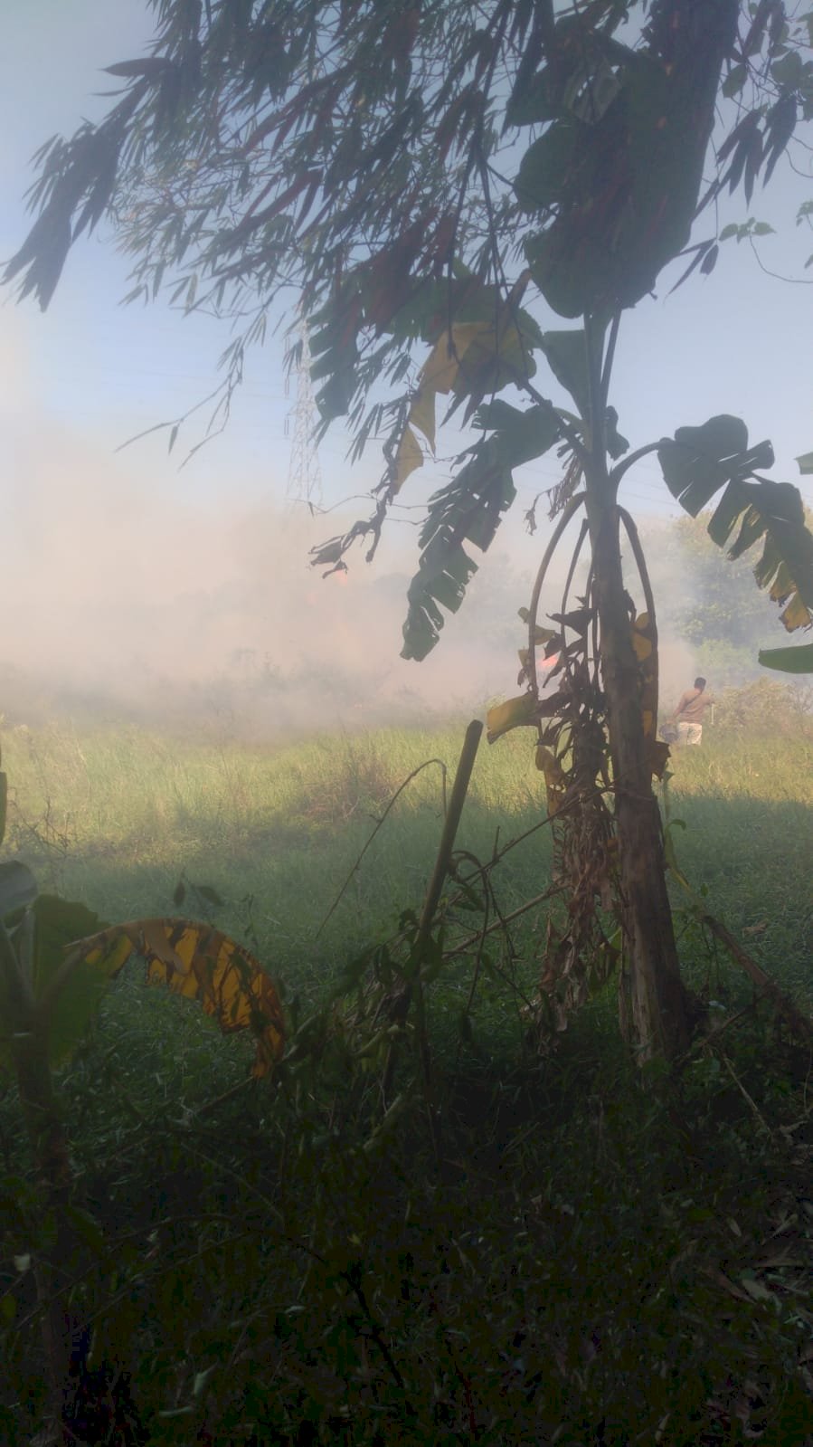 Kebakaran Lahan seluas 2 Ha di Desa Sukorejo, Kecamatan Wonosari Akibat Pembakaran Sampah Yang Tidak Terkontrol