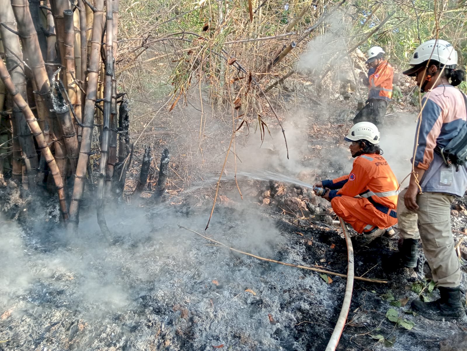 Kebakaran Rumpun Bambu dan Lahan 2.500 m² di Desa Krakitan, Kecamatan Bayat