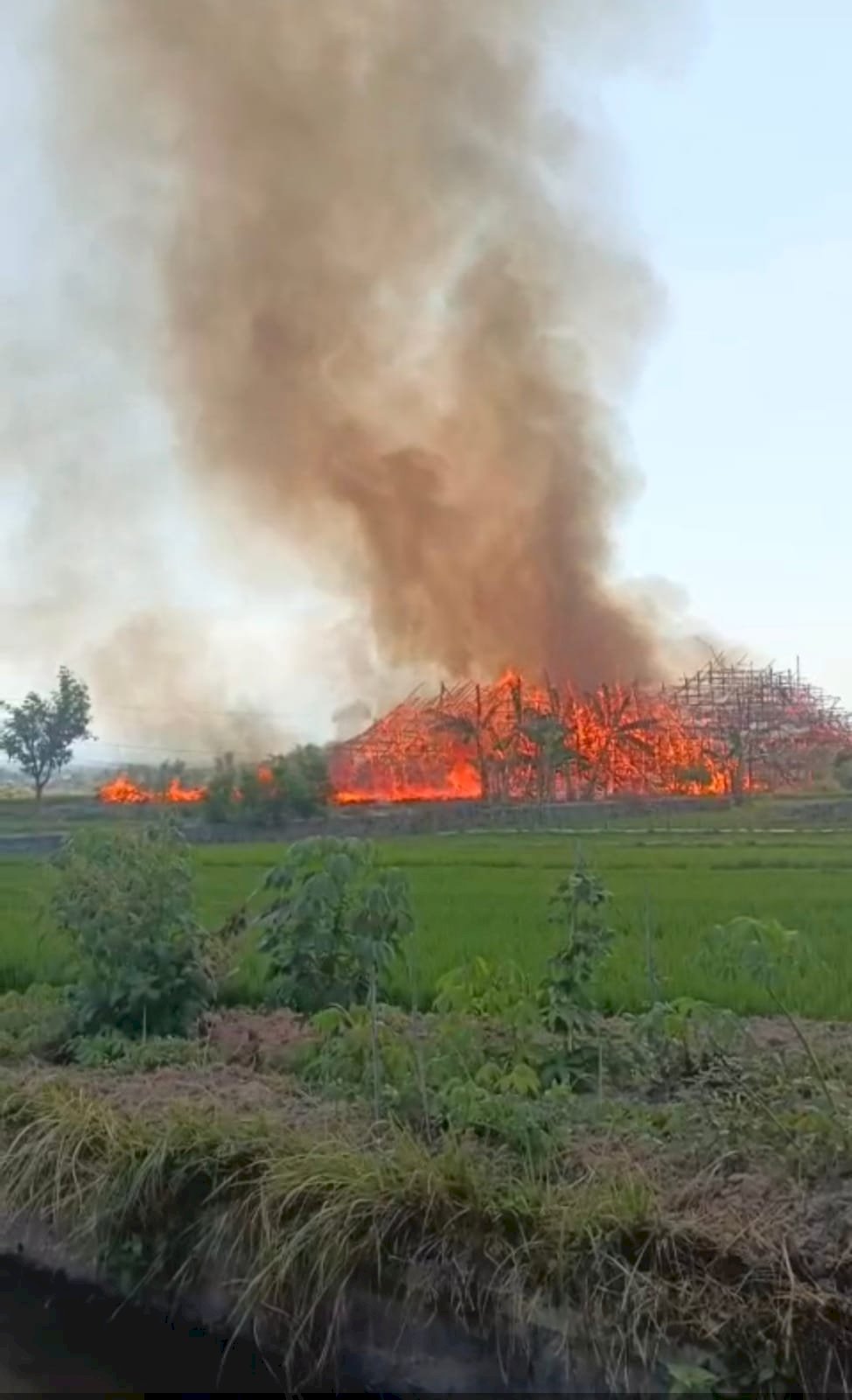 Kebakaran Loss Tembakau di Desa Ngrundul, Kecamatan Kebonarum Diduga Akibat Konsleting Listrik
