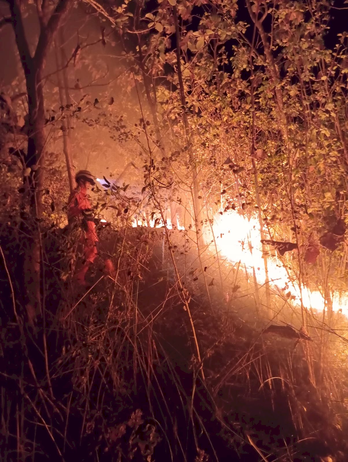 Kebakaran Hutan di Bukit Temugiring, Desa Melikan, Kecamatan Wedi