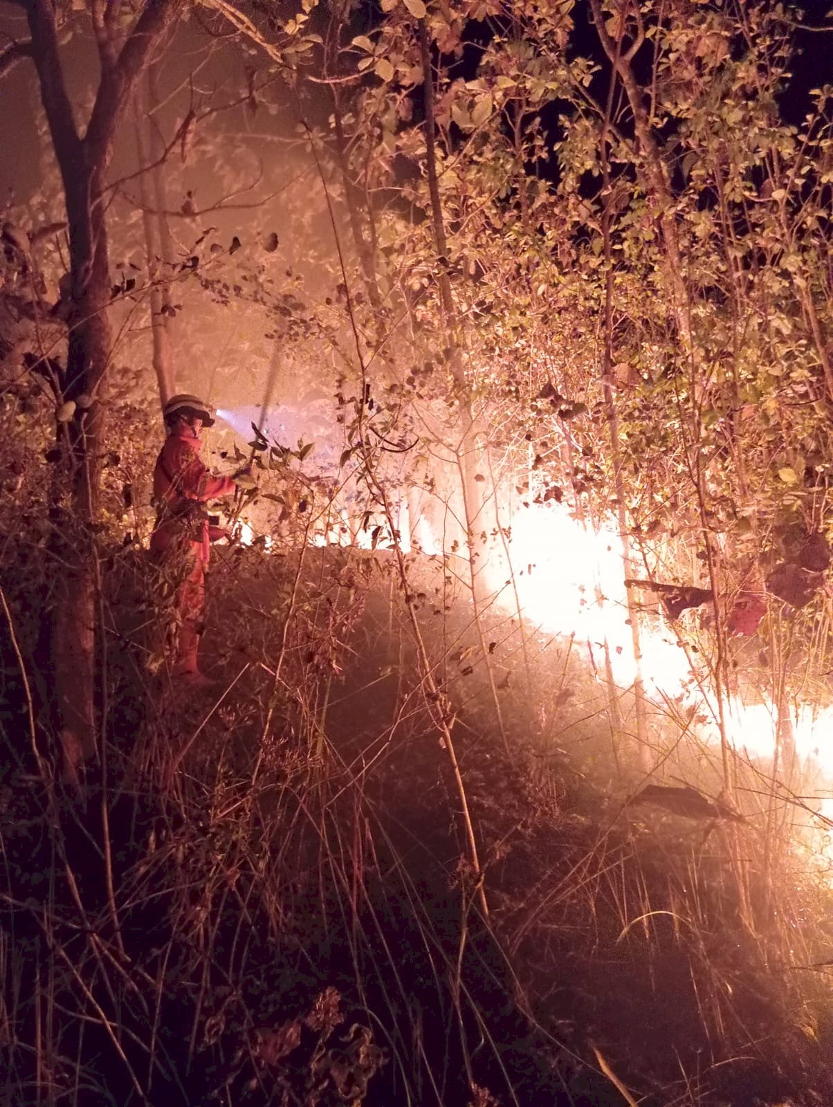Kebakaran Hutan di Bukit Temugiring, Desa Melikan, Kecamatan Wedi