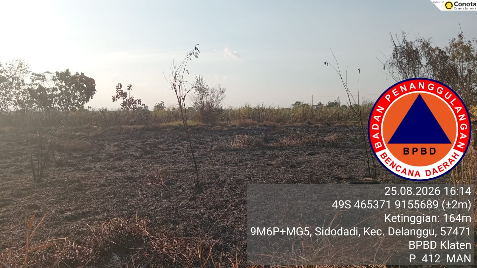 Kebakaran Lahan seluas 35.000 m² di Desa Banaran, Kecamatan Delanggu