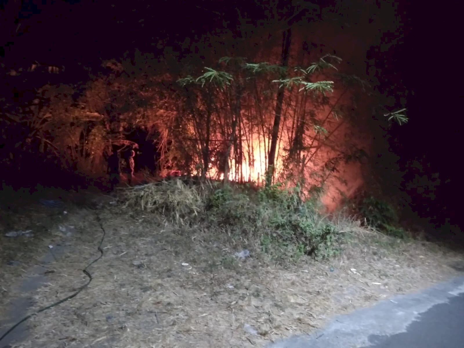 Pembakaran Sampah Tidak Terkontrol, Rumpun Bambu Terbakar seluas 100 m² di Desa Ngandong, Kecamatan Gantiwarno