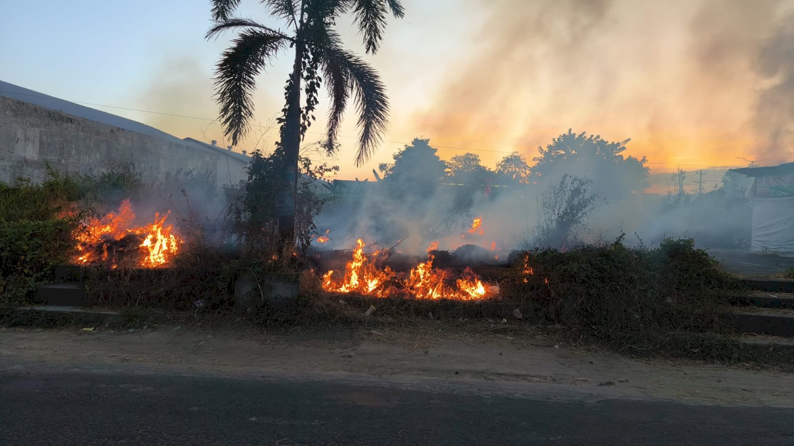 Kebakaran Lahan di Desa Trunuh, Kecamatan Klaten Selatan