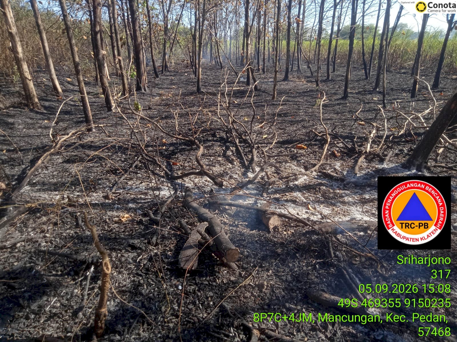 Kebakaran Lahan seluas 18.000 M2 di Desa Kalangan, kecamatan Pedan