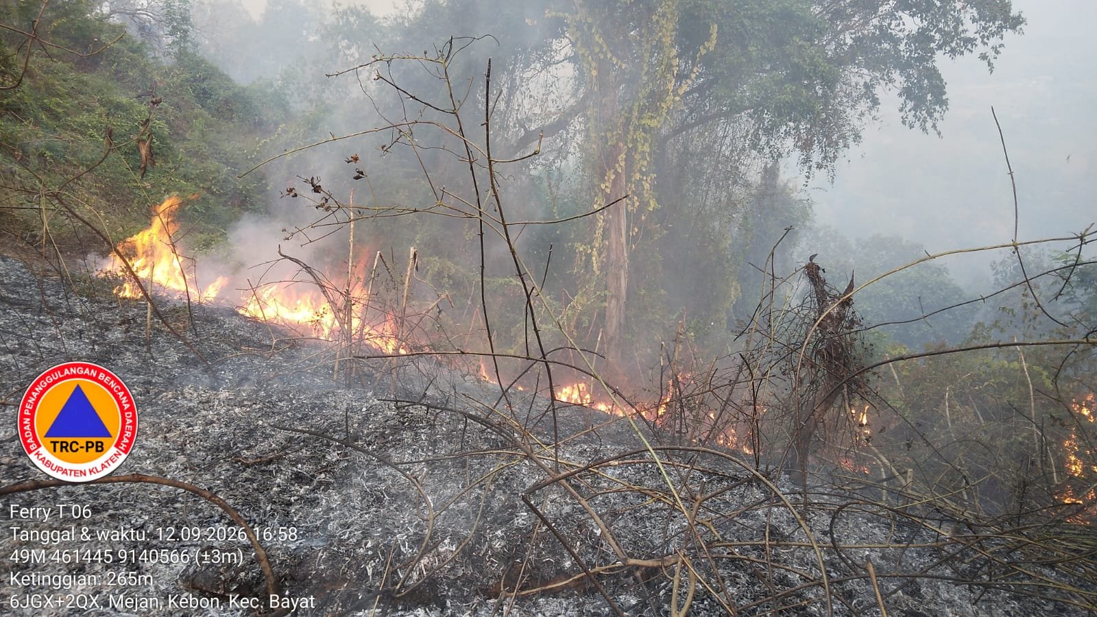 Kebakaran Hutan di Area Bukit Pertapan, Bayat. Luas Terbakar 13,8 Hektare