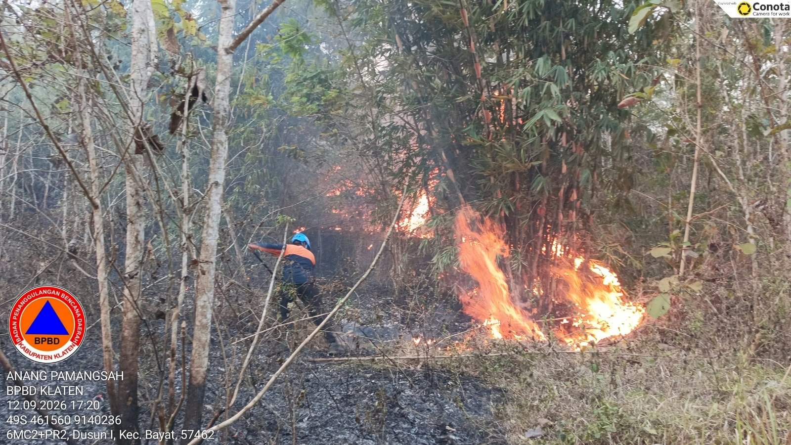 Kebakaran Hutan di Area Bukit Pertapan, Bayat. Luas Terbakar 13,8 Hektare