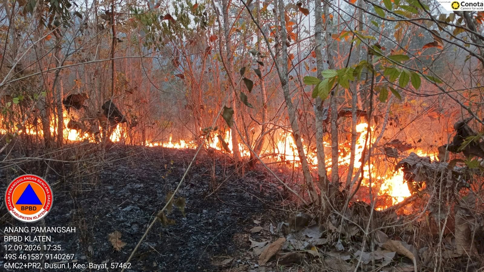 Kebakaran Hutan di Area Bukit Pertapan, Bayat. Luas Terbakar 13,8 Hektare