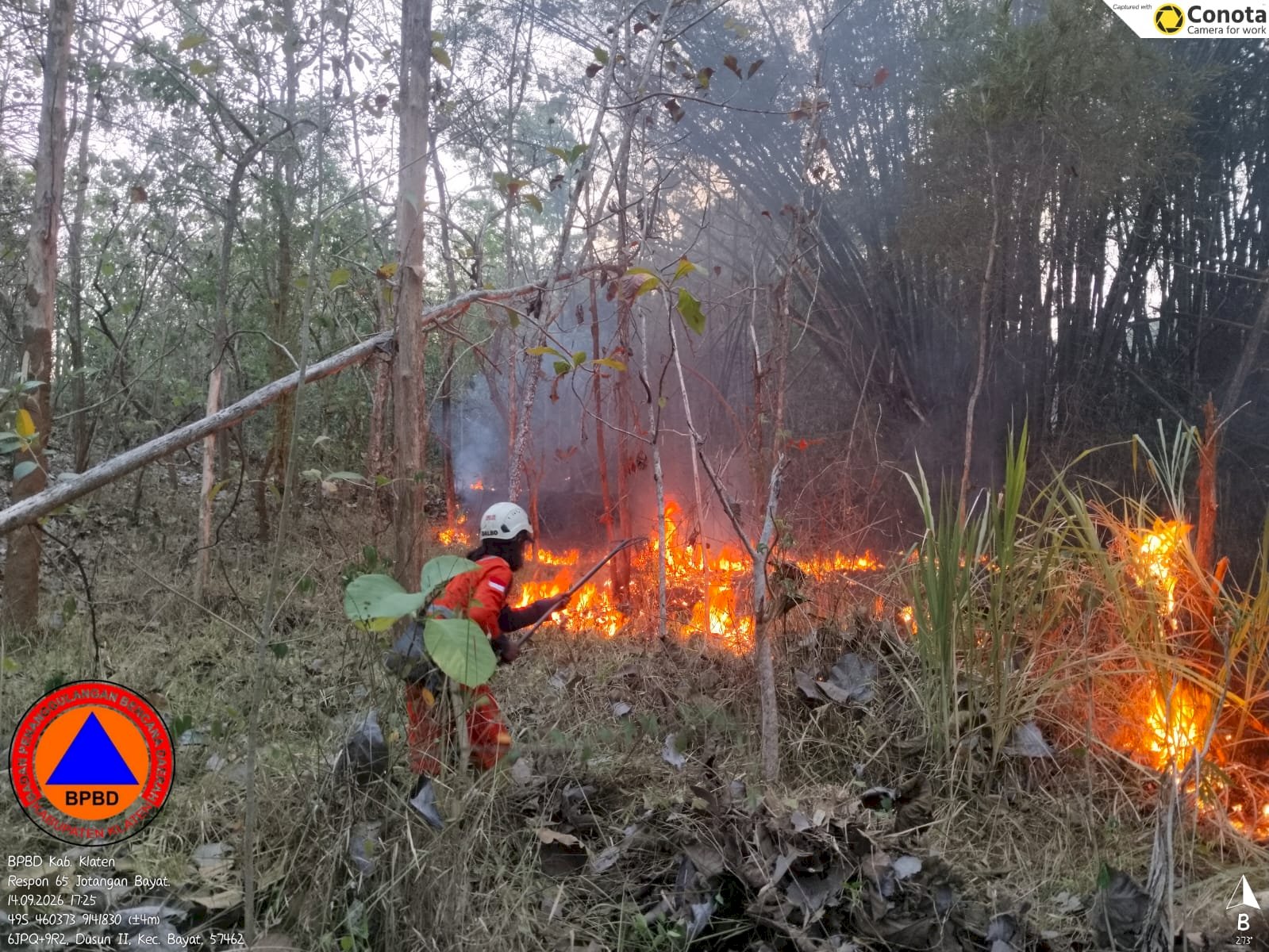 Kebakaran Hutan seluas yang terbakar ± 13.6 Ha di Area Bukit Gunungsari, Desa Jotangan, Kecamatan Bayat