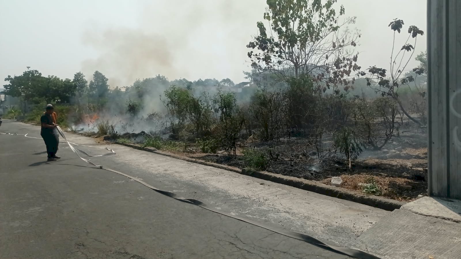 Kebakaran Lahan seluas yang terbakar 900 M2 di Desa Jombor, Kecamatan Ceper
